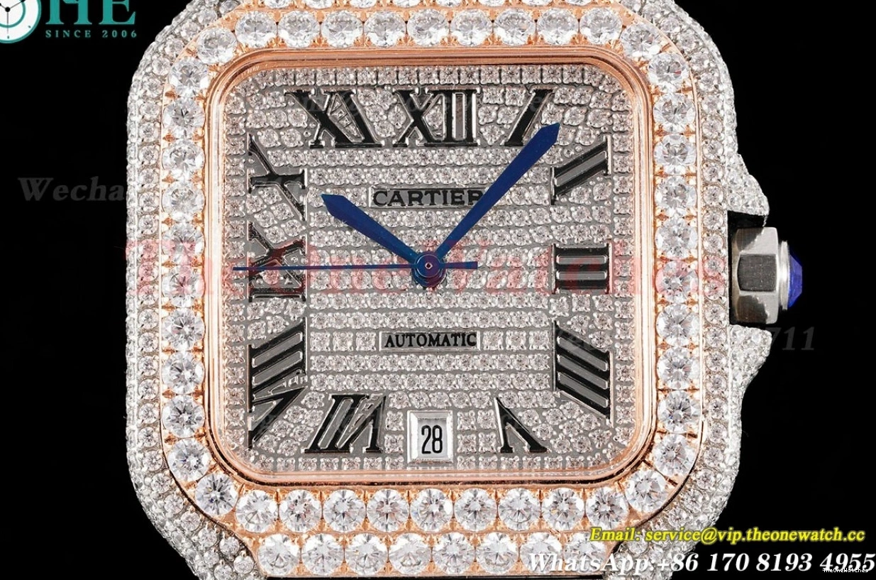 AMG 40mm Mens RG Rmn Dia SS XL MY9015 Santos 100 SS 0415